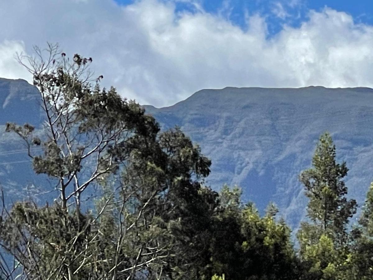 Ti Kaz Martin De O La Reunion Villa La Plaine des Cafres Eksteriør bilde