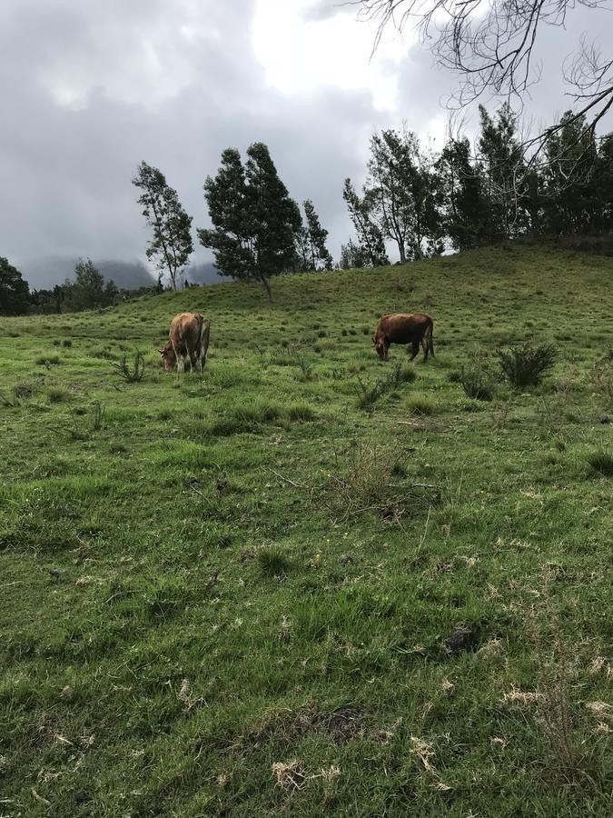 Ti Kaz Martin De O La Reunion Villa La Plaine des Cafres Eksteriør bilde